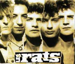 Les Rats : Le Clochard